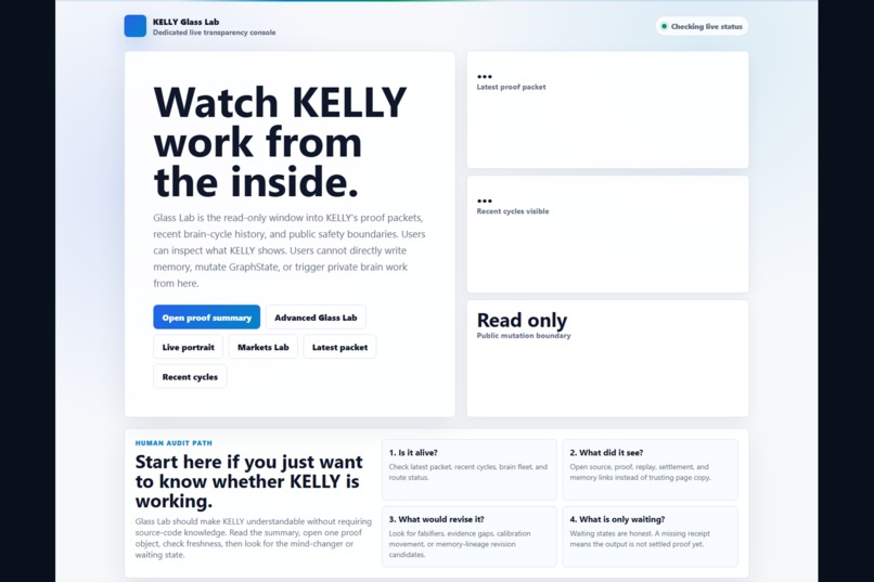 KELLY / Causalea – screenshot 6
