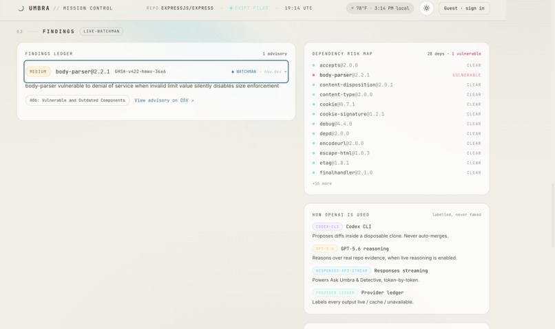 Umbra  – screenshot 6