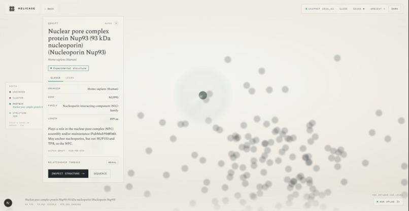 Helicase Atlas – screenshot 7