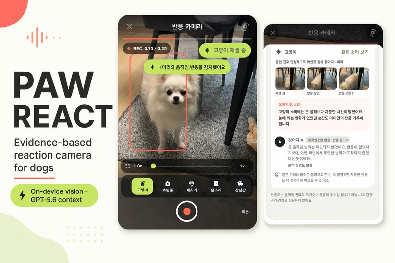 Paw React — Evidence-based reaction camera for dogs – screenshot 1