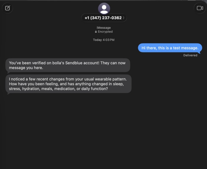 Baymax – screenshot 5