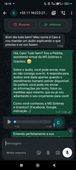 Pedrita IA – screenshot 4