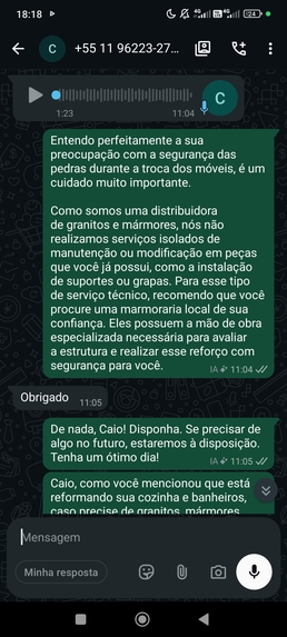 Pedrita IA – screenshot 5