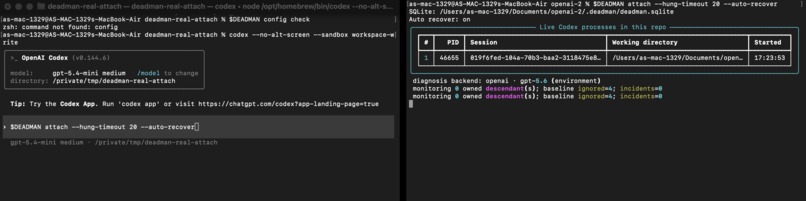 Deadman – screenshot 1