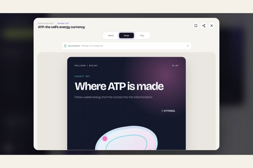 ReelLearn – screenshot 5