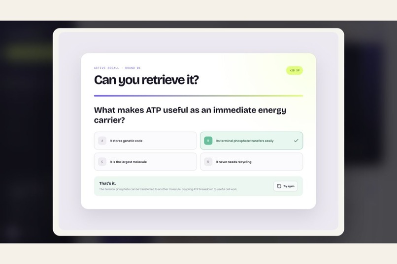 ReelLearn – screenshot 6