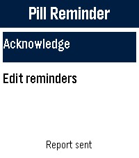 Pebble Pills – screenshot 2
