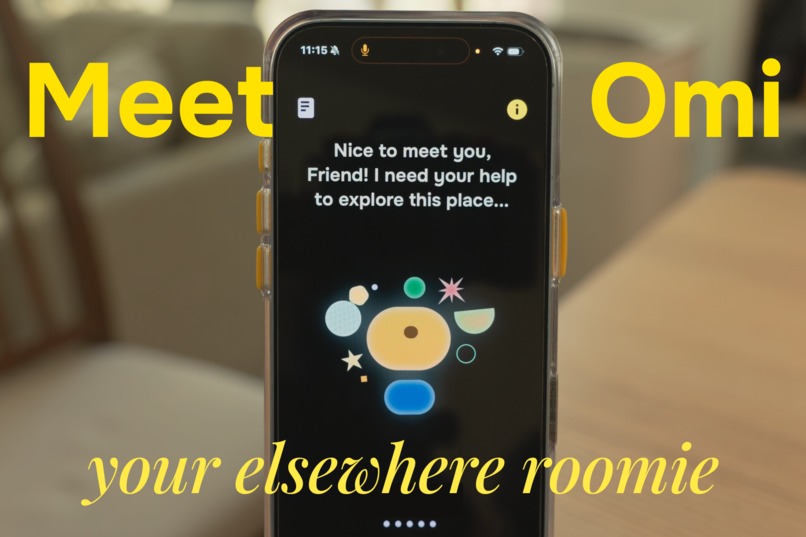 Elsewhere Roomie – screenshot 1