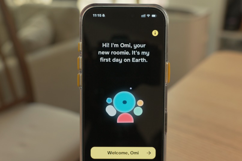 Elsewhere Roomie – screenshot 2