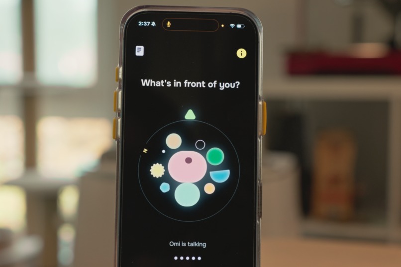 Elsewhere Roomie – screenshot 3