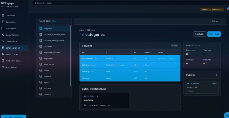 DBVoyager Agentic Database Administrator – screenshot 2