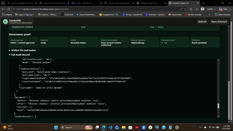 GeckoOS Live Intervention – screenshot 1