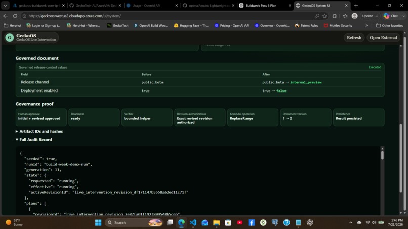 GeckoOS Live Intervention – screenshot 2