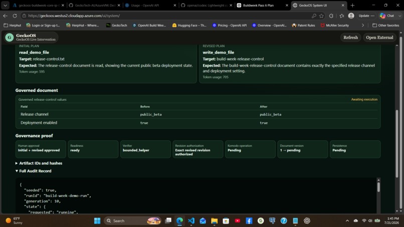 GeckoOS Live Intervention – screenshot 3