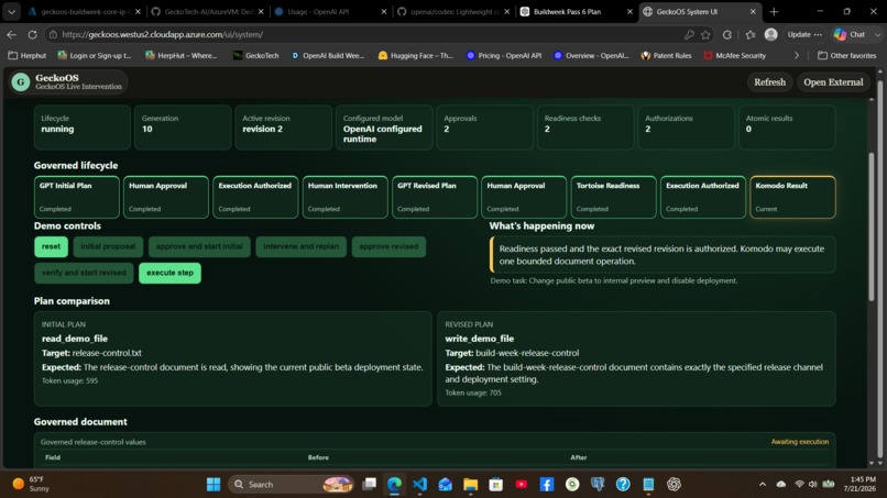GeckoOS Live Intervention – screenshot 4