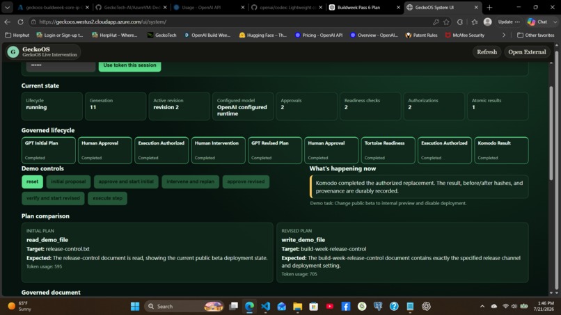 GeckoOS Live Intervention – screenshot 5