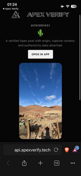 Apex Verify – screenshot 2