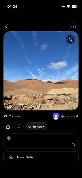 Apex Verify – screenshot 4
