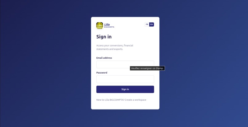 Liiia BIGCOMPTA – screenshot 3