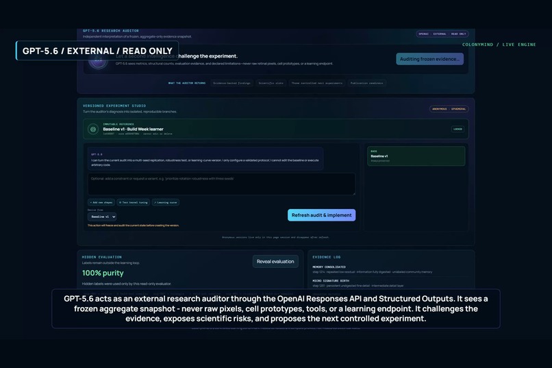 ColonyMind – screenshot 2