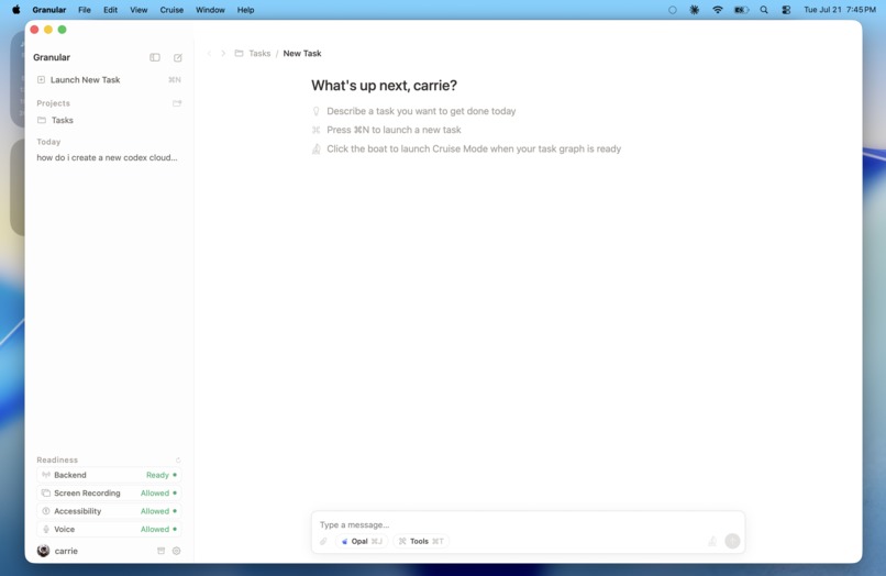 Granular – screenshot 1