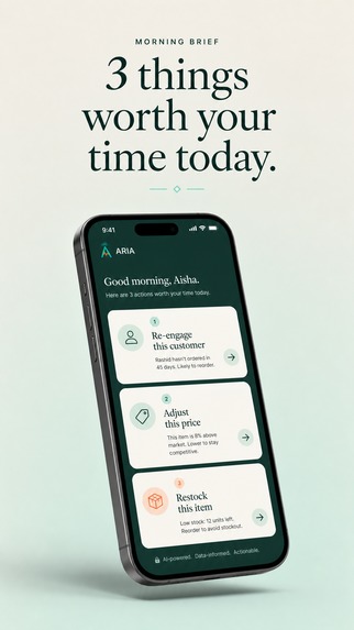 ARIA – screenshot 5