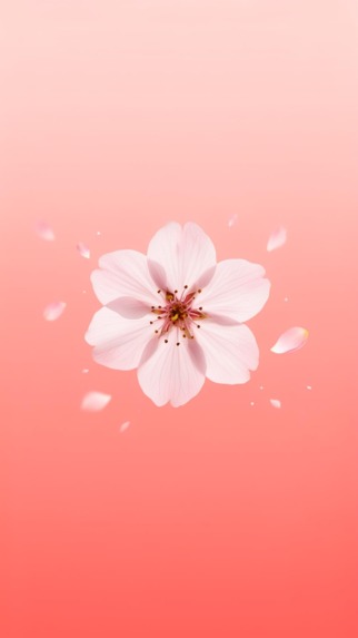 Harmony – Cycle & Partner Care – screenshot 2