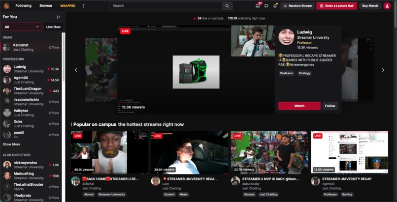 Twitch-Clone for Streamer University 2026 – screenshot 3