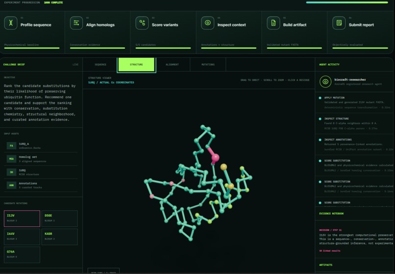 ArenaOS  – screenshot 4