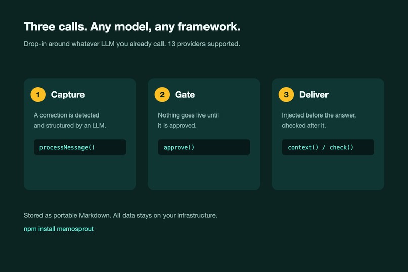 MemoSprout: Correct Once, Improve Every AI Interaction – screenshot 4