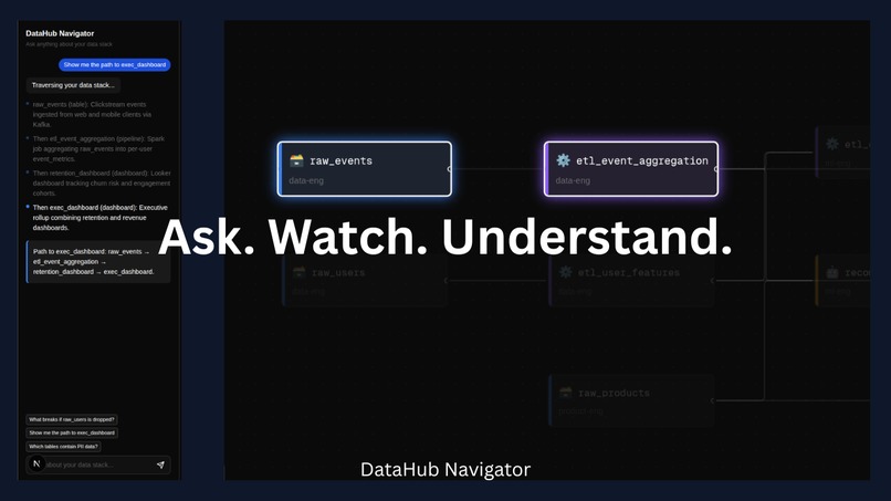 DataHub Navigator – screenshot 1