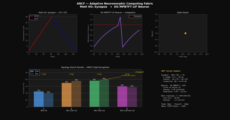 Adaptive Neuromorphic Computing Fabric (ANCF) – screenshot 5