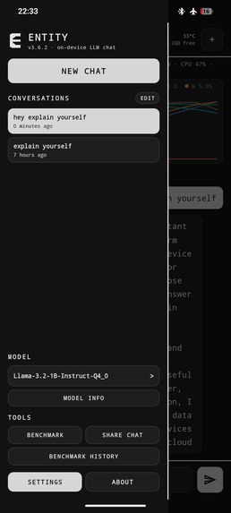 Project Entity – screenshot 2