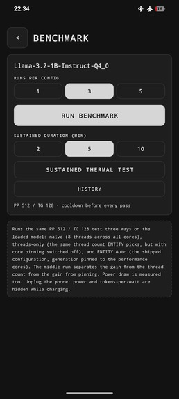 Project Entity – screenshot 5
