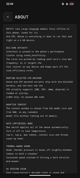Project Entity – screenshot 10