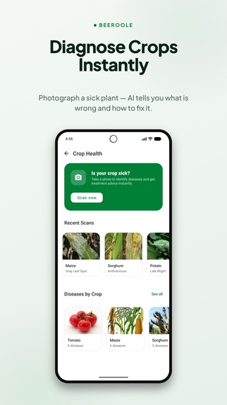 Beeroole AI – Smart Early Warning for Farmers – screenshot 4