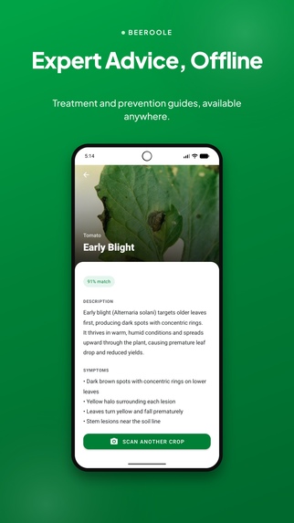 Beeroole AI – Smart Early Warning for Farmers – screenshot 5