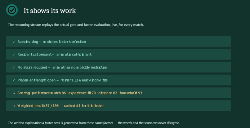 FosterMatch – screenshot 11