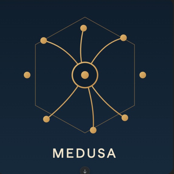MEDUSA – screenshot 1