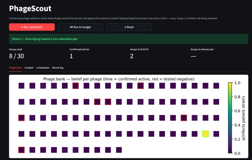 PhageScout – screenshot 3