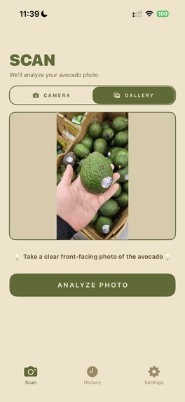 D-avocado – screenshot 1