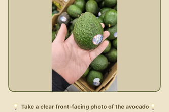 D-avocado