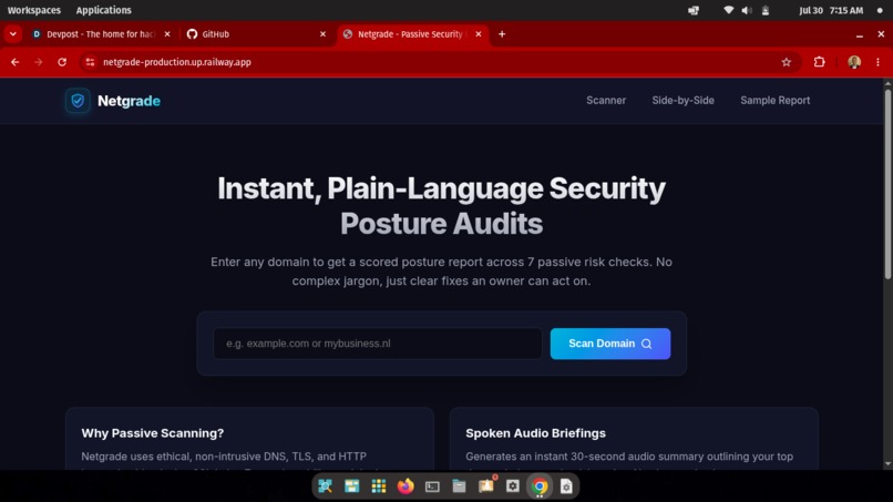 Netgrade - Passive Security Posture Scanner – screenshot 8