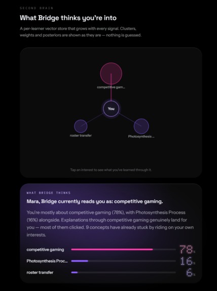 Bridge - Learn from your interests. – screenshot 3