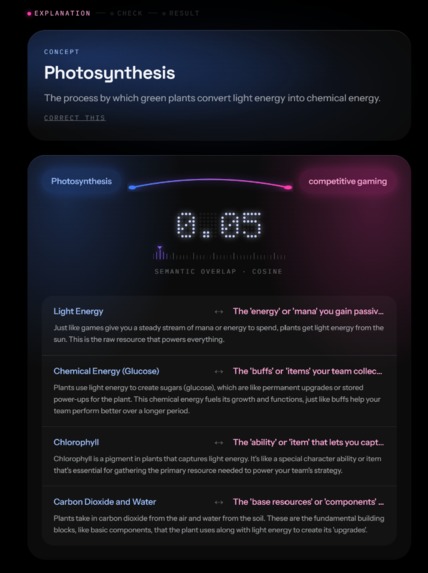 Bridge - Learn from your interests. – screenshot 1