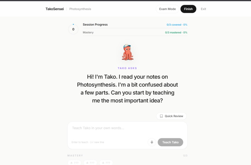 TakoSensei – screenshot 5
