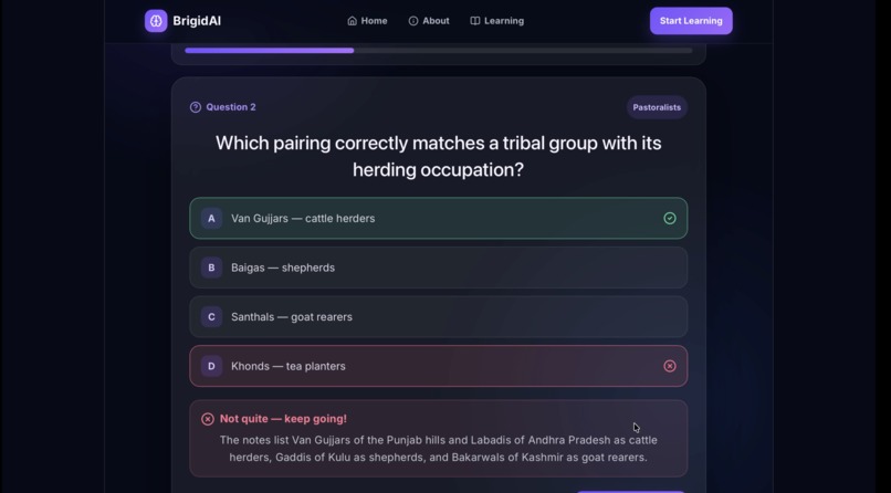 BrigidAI – screenshot 3