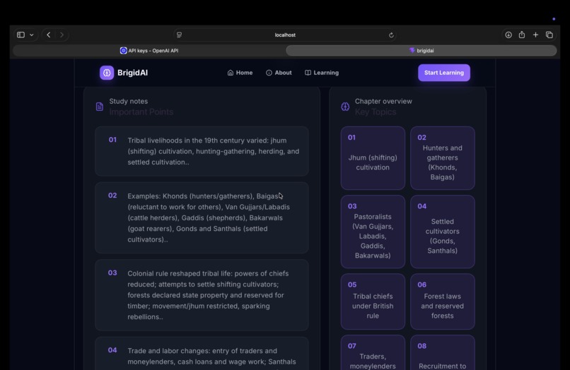 BrigidAI – screenshot 5