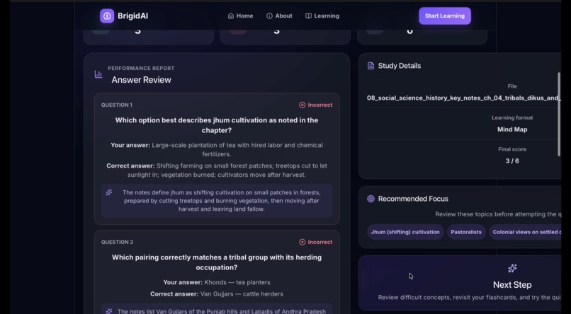 BrigidAI – screenshot 7