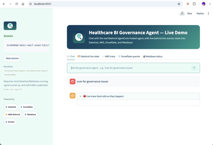 Healthcare BI Steward – screenshot 7